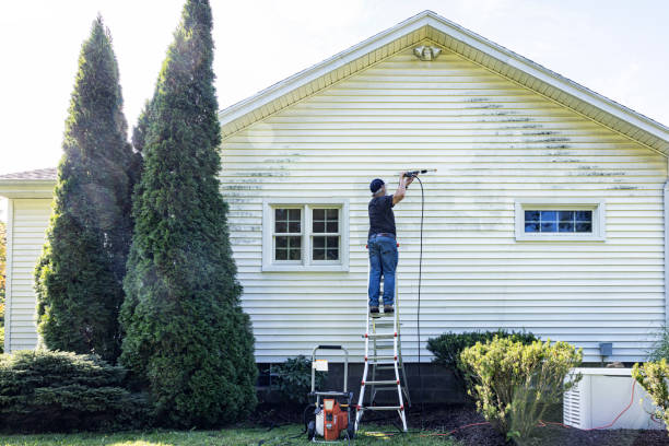 Best Residential House Exterior Washing  in Chalfant, CA